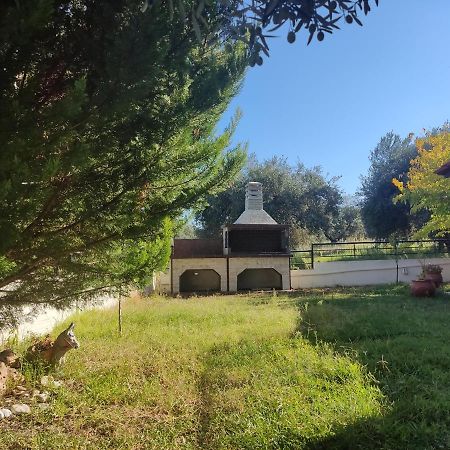Вилла Billias House Вурвуру Экстерьер фото
